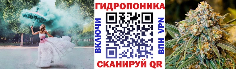 Конопля гибрид  Менделеевск 
